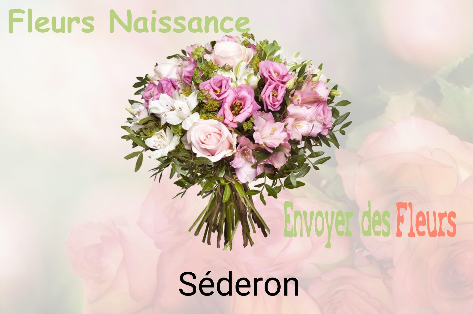 Bouquet de fleurs de naissance livré à Séderon