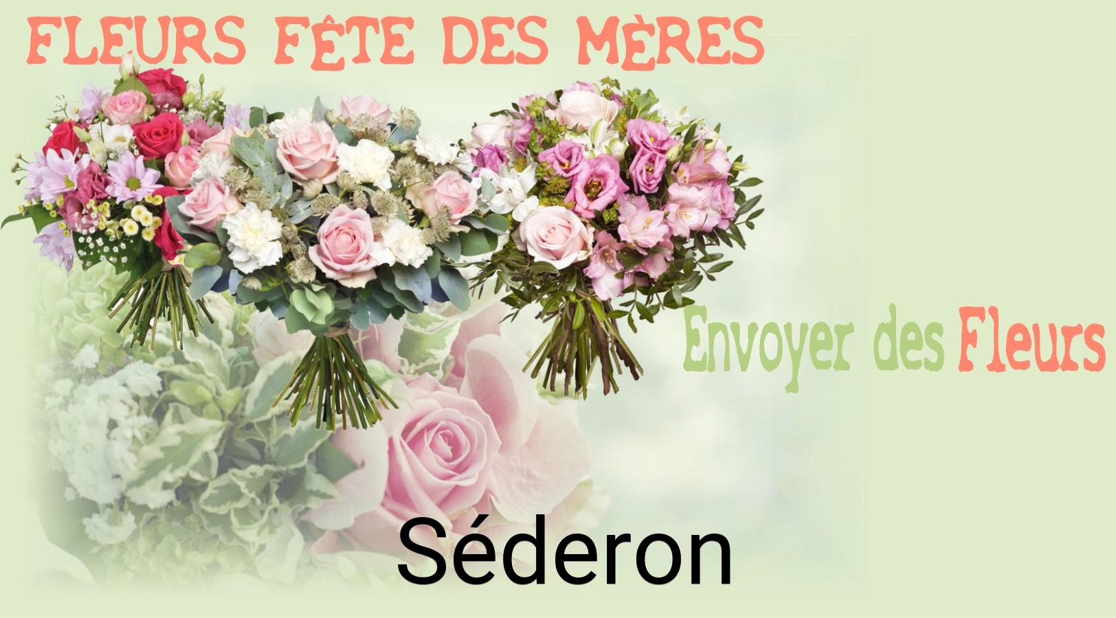 Bouquet de Fête des Mères livré à Séderon